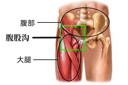 腹股沟位置图片