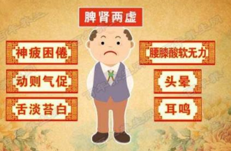 什么东西补脾肾 114200eda5f121a00ddbf0db39efcecdc624137763.png