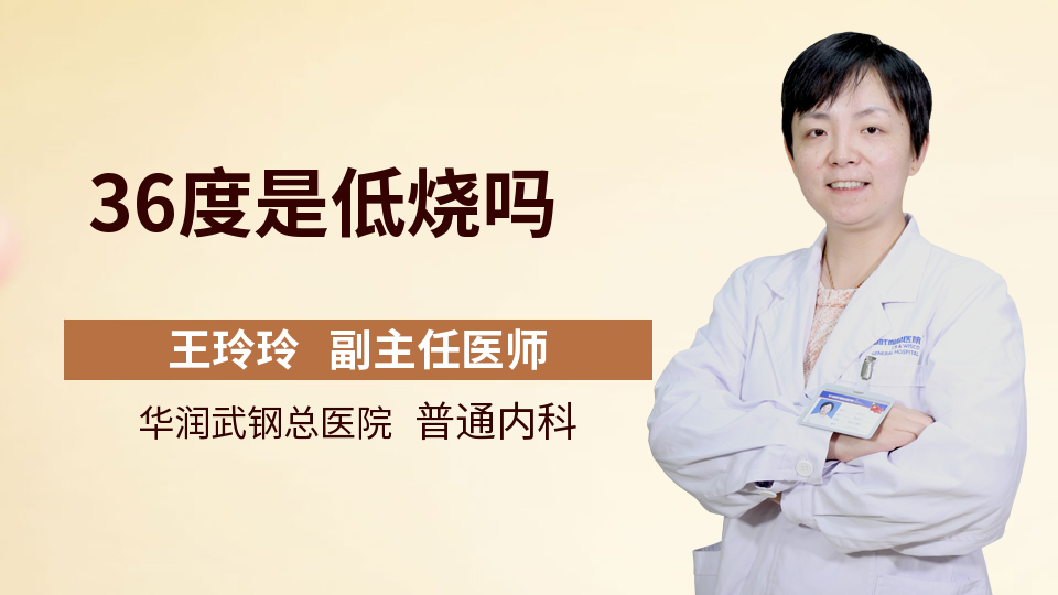 猪低烧36度用什么药 猪低烧36度用什么药治疗